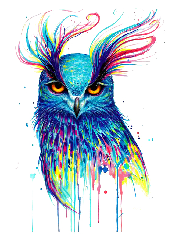 owl-canvas-print-printing-painting-owl-7039a4988d488b16e9b9e68df2cc6a17